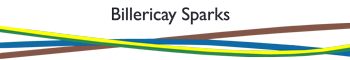 Billericay Sparks - Assured Electrician